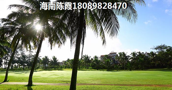 2018海南阳光雨林房价走势图