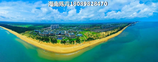 阳光雨林开发商实力