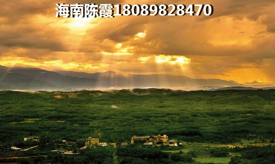 海南五指山翡翠新区鸟瞰图