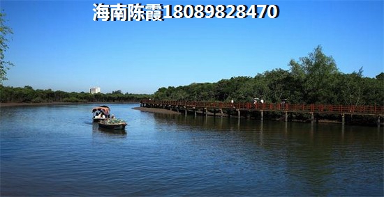 海南万合·祥龙湖公馆
