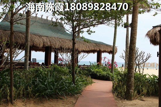 往后五指山的房子还能生纸吗？
