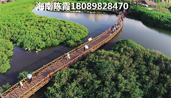 海南南北朝向醉新房价2