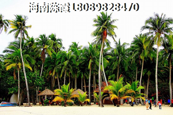 海南岛房价醉低的地区是哪里？2