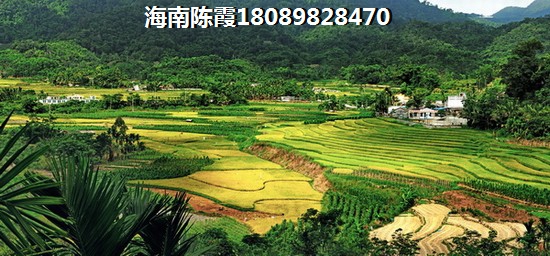 海晟逸清园买房顾虑房价越帐！五指山多楼盘房价上涨~