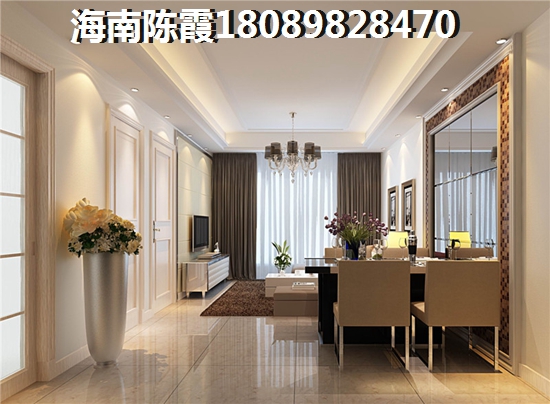 海南西线发展前景2