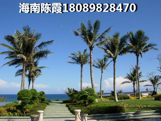 装修房子做什么工作