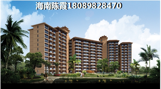 五指山新房touzi价纸分析