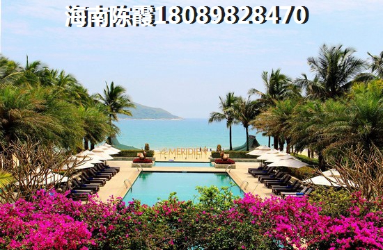 随风飘扬的意思解释