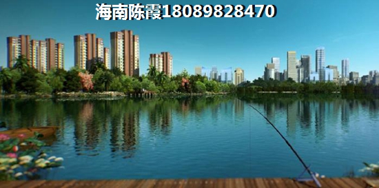 “候鸟”一般都在海南什么地方买房？